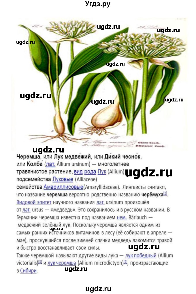 ГДЗ (Решебник 1) по биологии 7 класс Пономарева И.Н. / параграф номер / 43(продолжение 4)