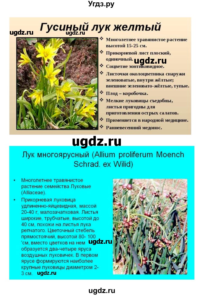 ГДЗ (Решебник 1) по биологии 7 класс Пономарева И.Н. / параграф номер / 43(продолжение 6)