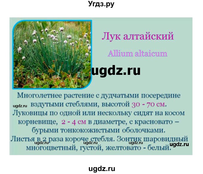 ГДЗ (Решебник 1) по биологии 7 класс Пономарева И.Н. / параграф номер / 43(продолжение 7)