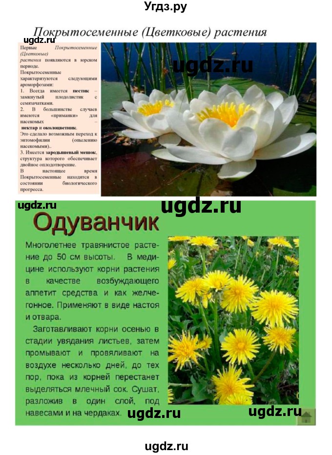 ГДЗ (Решебник 1) по биологии 7 класс Пономарева И.Н. / параграф номер / 45(продолжение 3)