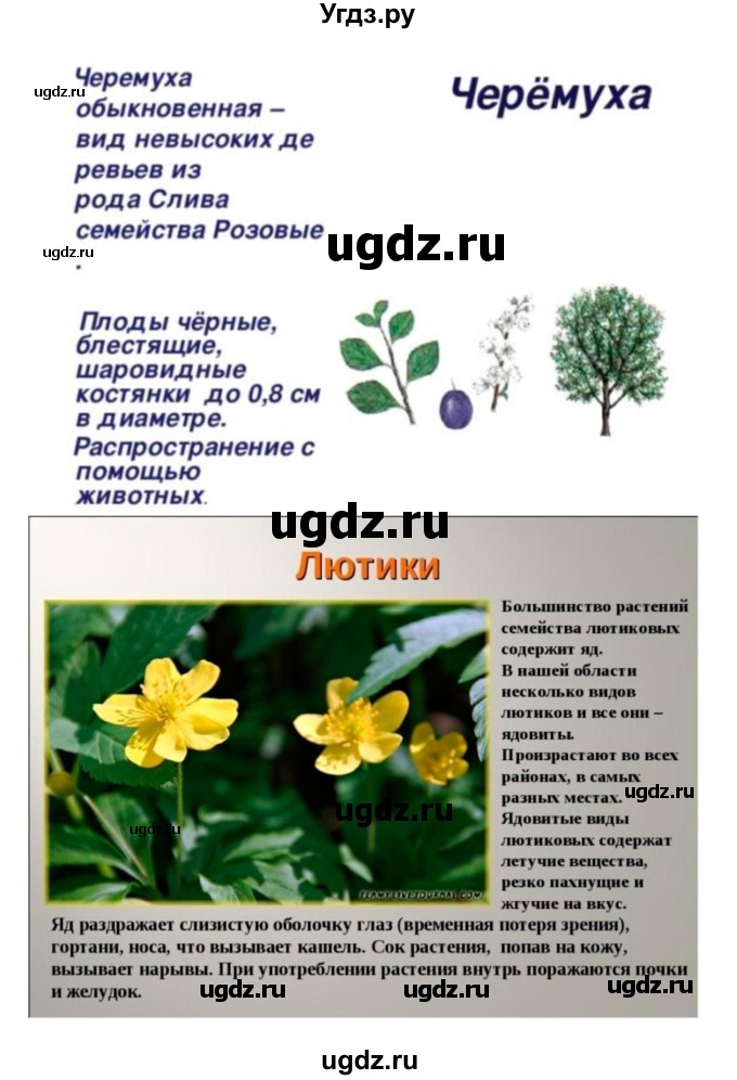 ГДЗ (Решебник 1) по биологии 7 класс Пономарева И.Н. / параграф номер / 45(продолжение 4)