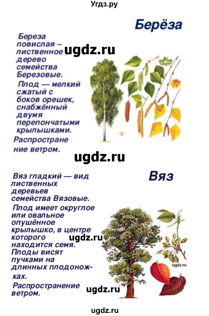 ГДЗ (Решебник 1) по биологии 7 класс Пономарева И.Н. / параграф номер / 45(продолжение 5)