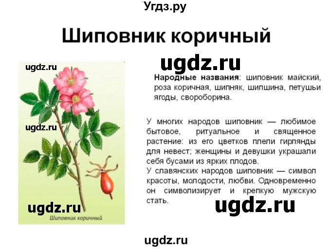 ГДЗ (Решебник 1) по биологии 7 класс Пономарева И.Н. / параграф номер / 45(продолжение 7)