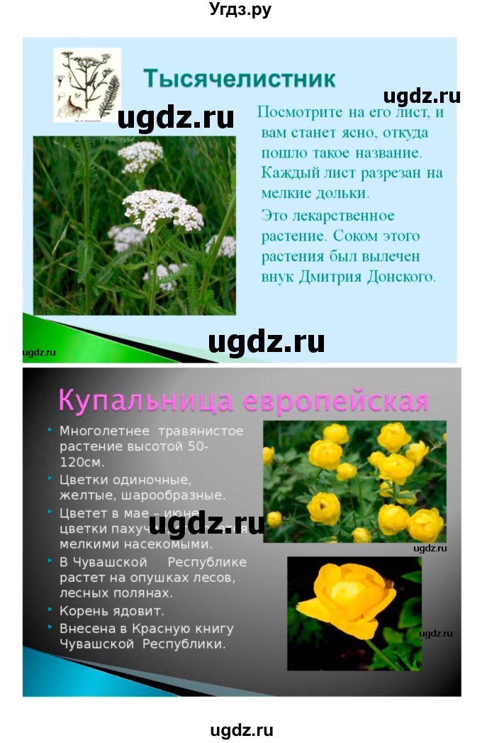 ГДЗ (Решебник 1) по биологии 7 класс Пономарева И.Н. / параграф номер / 45(продолжение 9)