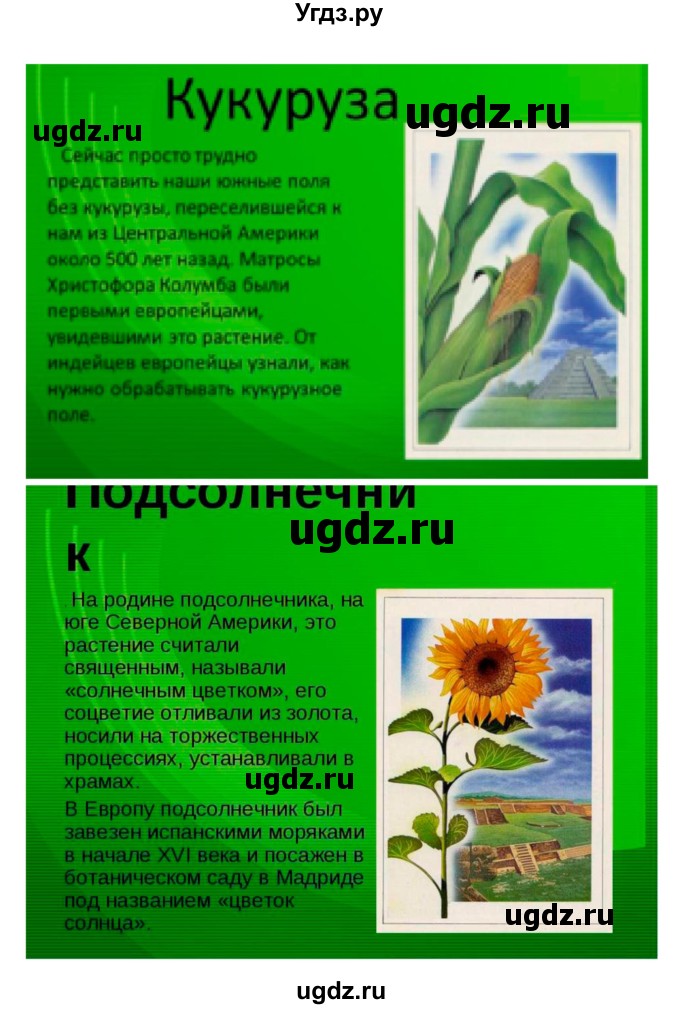 ГДЗ (Решебник 1) по биологии 7 класс Пономарева И.Н. / параграф номер / 46(продолжение 4)