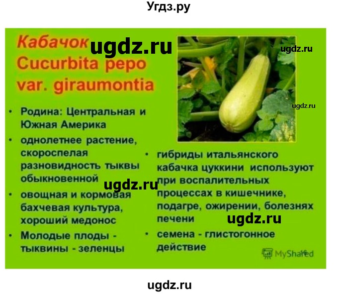 ГДЗ (Решебник 1) по биологии 7 класс Пономарева И.Н. / параграф номер / 46(продолжение 6)