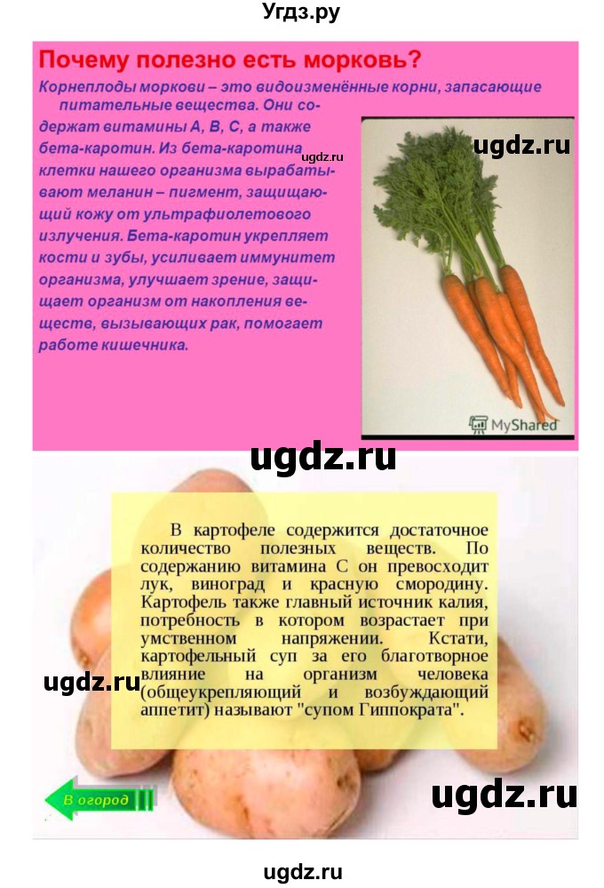 ГДЗ (Решебник 1) по биологии 7 класс Пономарева И.Н. / параграф номер / 47(продолжение 3)