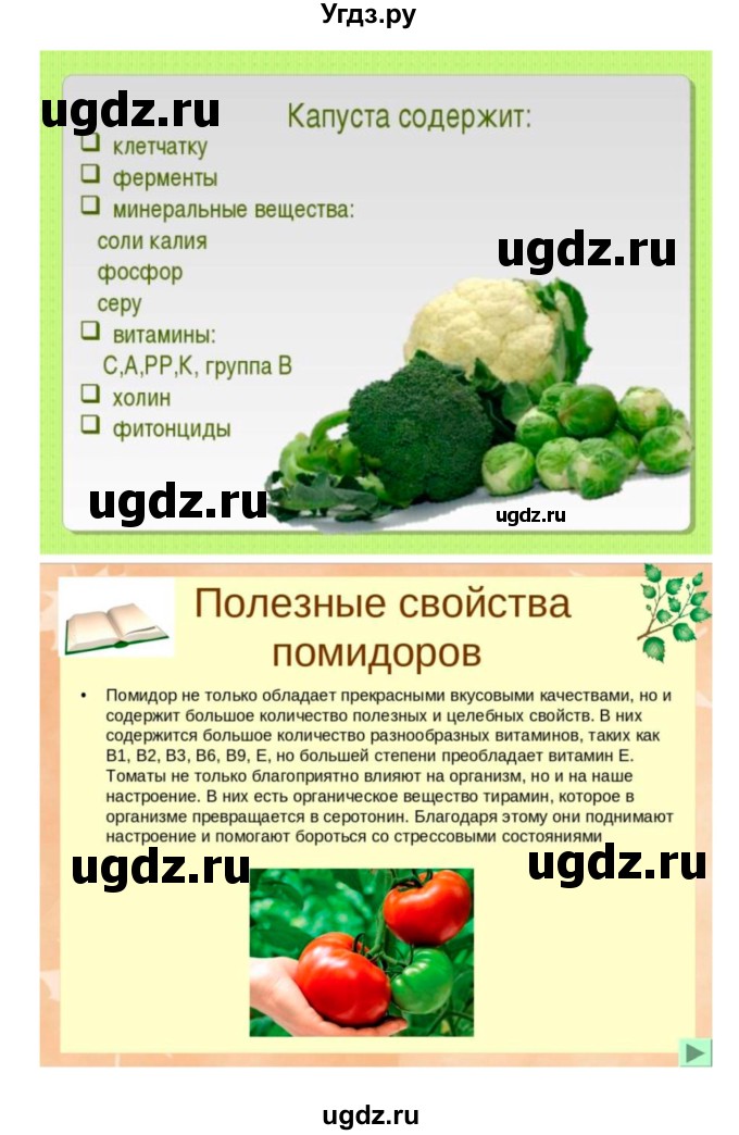 ГДЗ (Решебник 1) по биологии 7 класс Пономарева И.Н. / параграф номер / 47(продолжение 4)