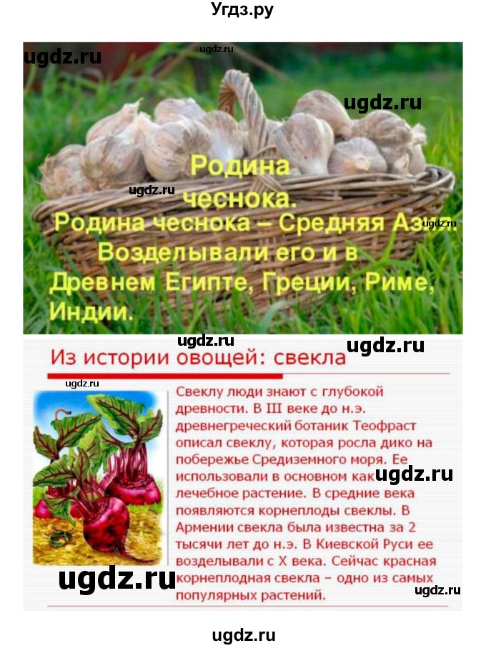 ГДЗ (Решебник 1) по биологии 7 класс Пономарева И.Н. / параграф номер / 47(продолжение 7)