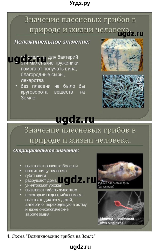 ГДЗ (Решебник 1) по биологии 7 класс Пономарева И.Н. / параграф номер / 51(продолжение 2)
