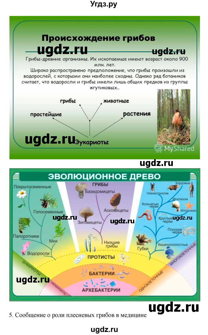 ГДЗ (Решебник 1) по биологии 7 класс Пономарева И.Н. / параграф номер / 51(продолжение 3)
