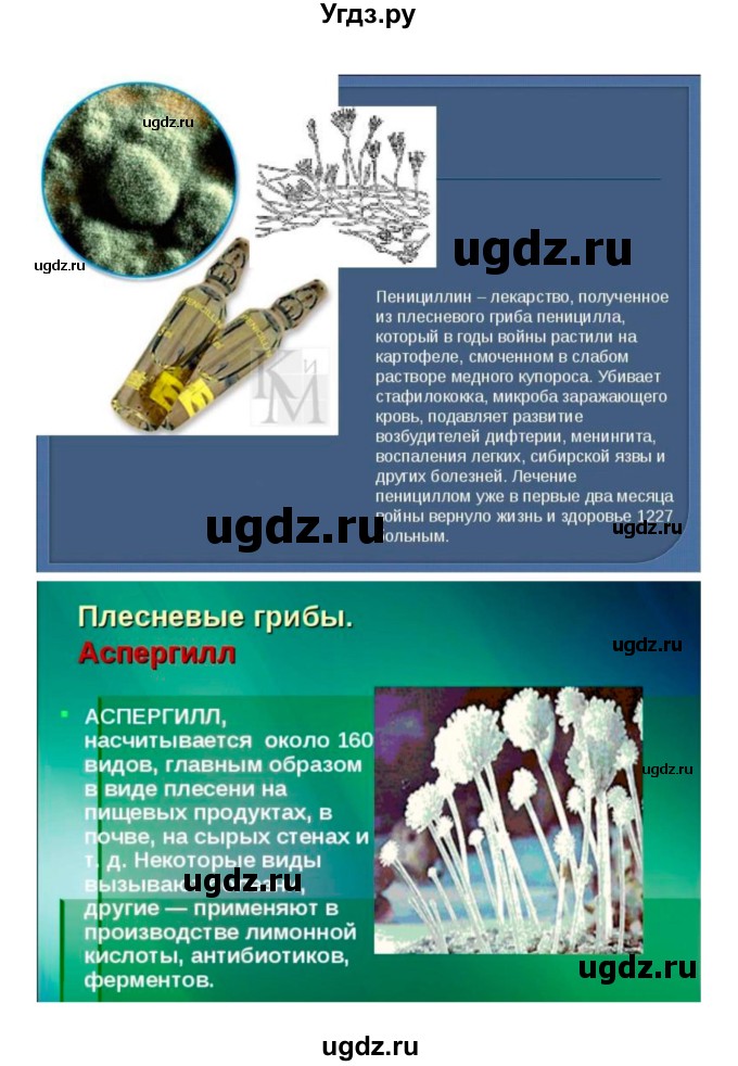 ГДЗ (Решебник 1) по биологии 7 класс Пономарева И.Н. / параграф номер / 51(продолжение 5)