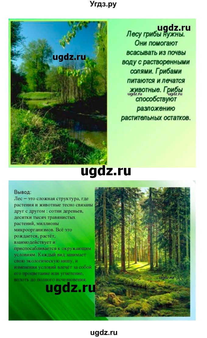 ГДЗ (Решебник 1) по биологии 7 класс Пономарева И.Н. / параграф номер / 54(продолжение 7)