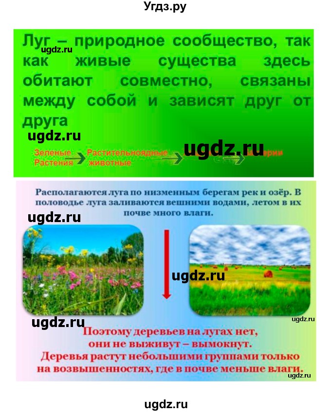 ГДЗ (Решебник 1) по биологии 7 класс Пономарева И.Н. / параграф номер / 55(продолжение 5)