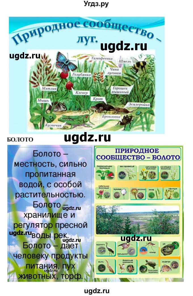ГДЗ (Решебник 1) по биологии 7 класс Пономарева И.Н. / параграф номер / 55(продолжение 6)