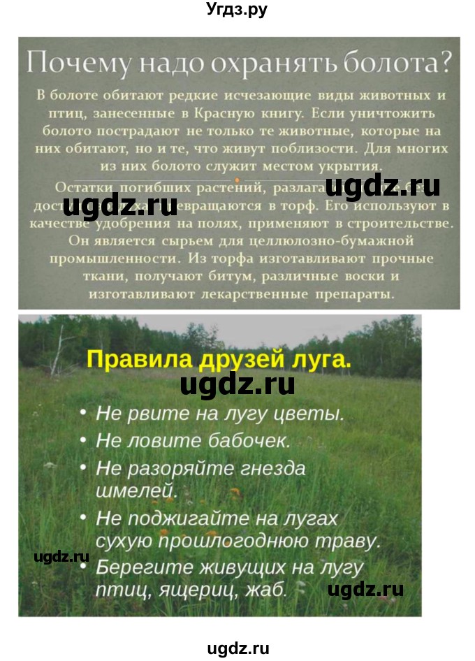 ГДЗ (Решебник 1) по биологии 7 класс Пономарева И.Н. / параграф номер / 57(продолжение 3)