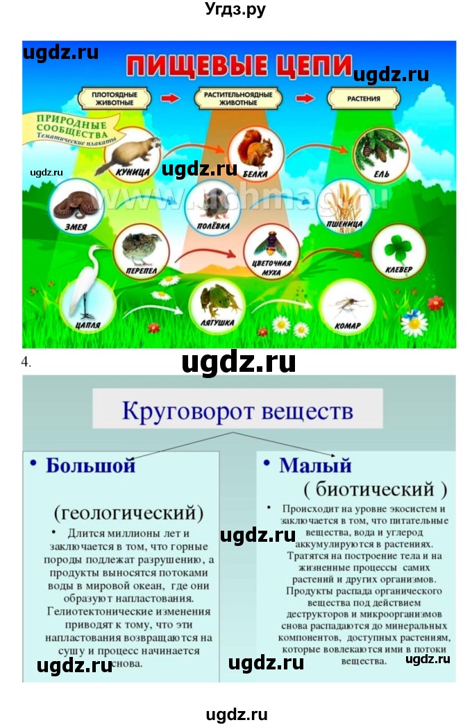 ГДЗ (Решебник 1) по биологии 7 класс Пономарева И.Н. / параграф номер / 58(продолжение 3)