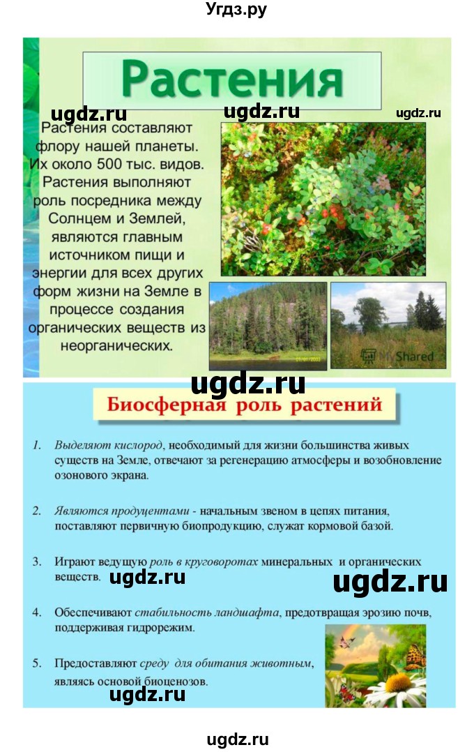 ГДЗ (Решебник 1) по биологии 7 класс Пономарева И.Н. / параграф номер / 58(продолжение 5)