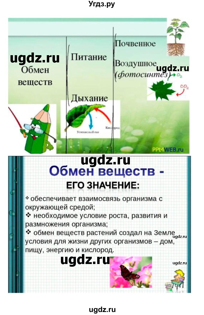 ГДЗ (Решебник 1) по биологии 7 класс Пономарева И.Н. / итог главы номер / 4(продолжение 15)
