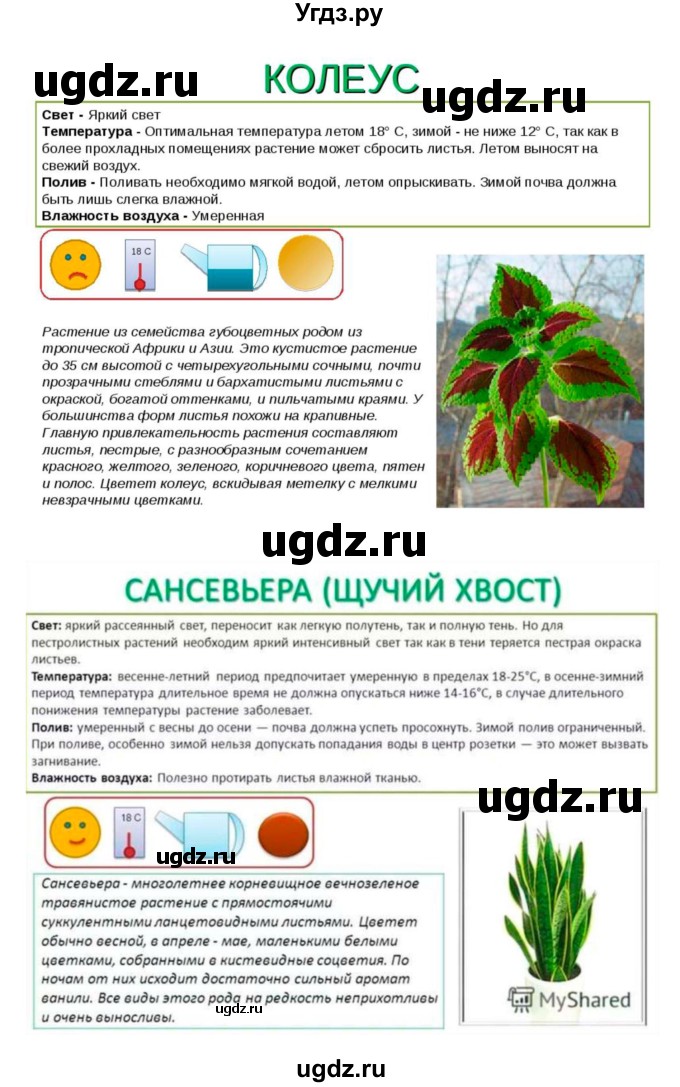 ГДЗ (Решебник 1) по биологии 7 класс Пономарева И.Н. / итог главы номер / 4(продолжение 17)