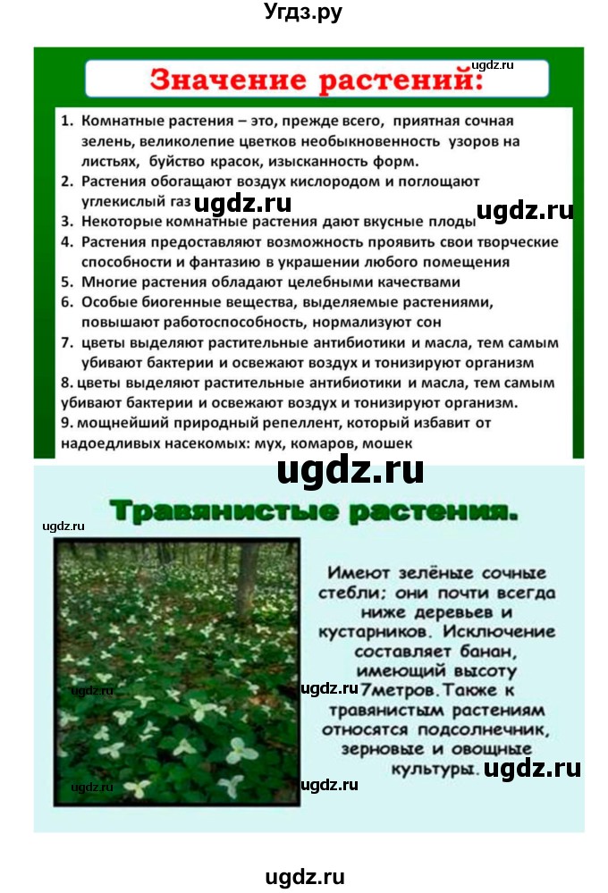 ГДЗ (Решебник 1) по биологии 7 класс Пономарева И.Н. / итог главы номер / 5(продолжение 7)