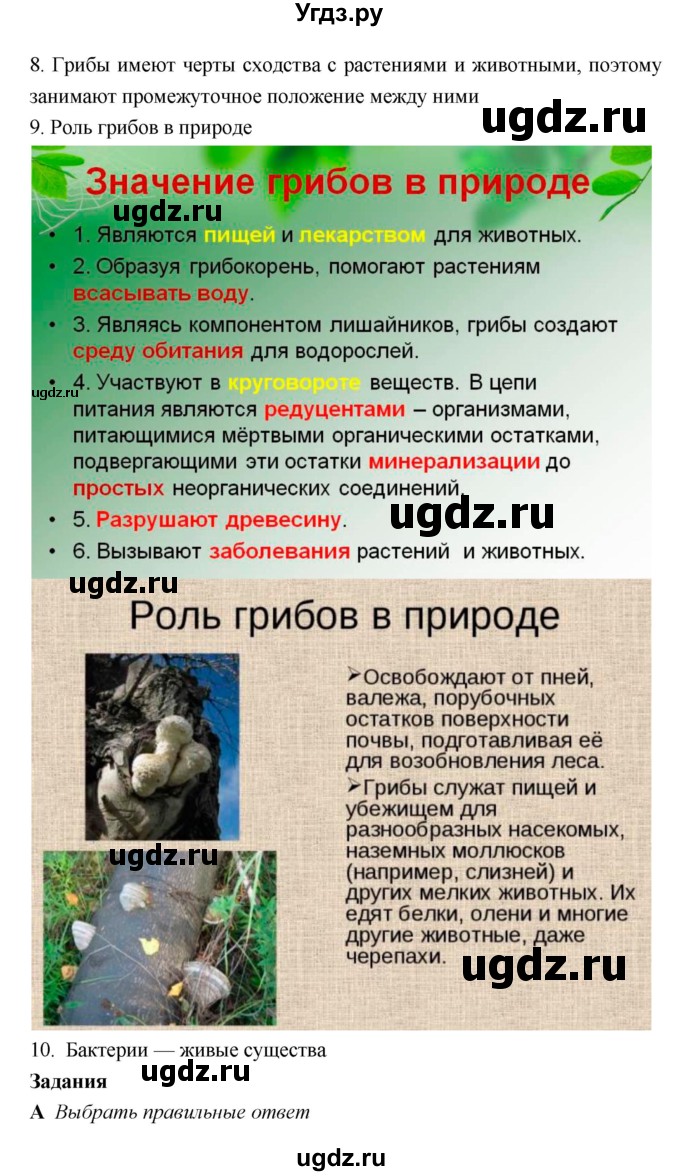 ГДЗ (Решебник 1) по биологии 7 класс Пономарева И.Н. / итог главы номер / 7–8(продолжение 2)