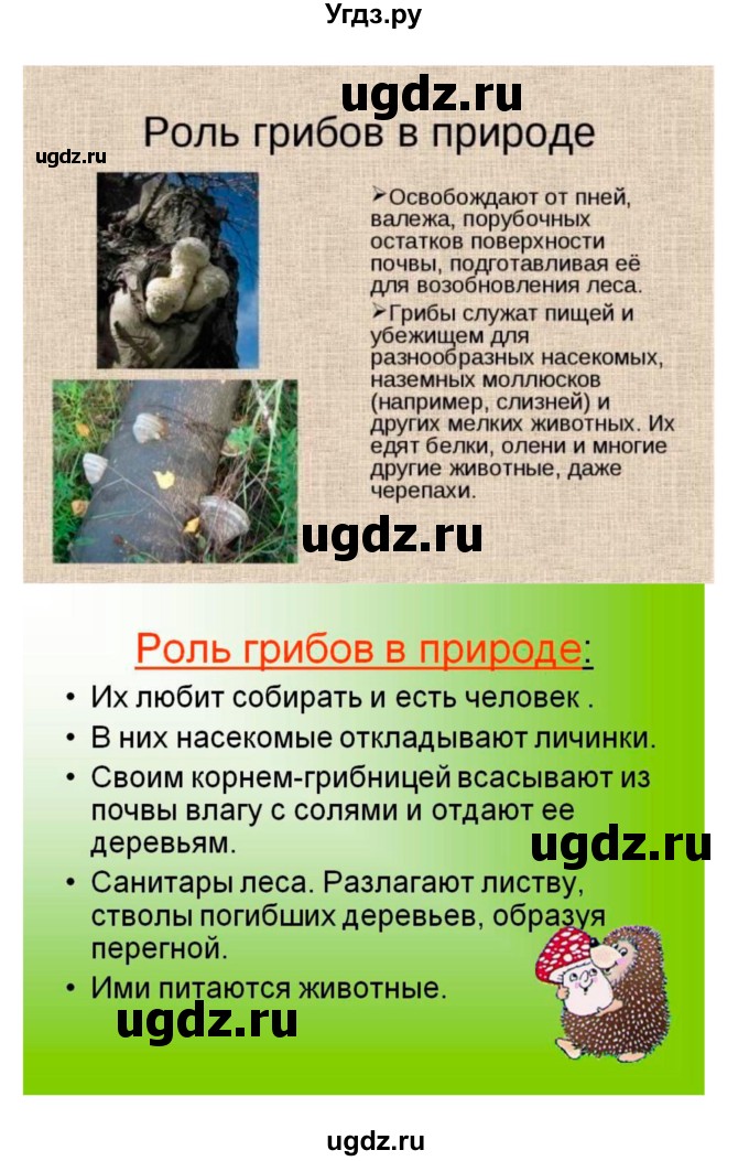 ГДЗ (Решебник 1) по биологии 7 класс Пономарева И.Н. / итог главы номер / 9(продолжение 3)