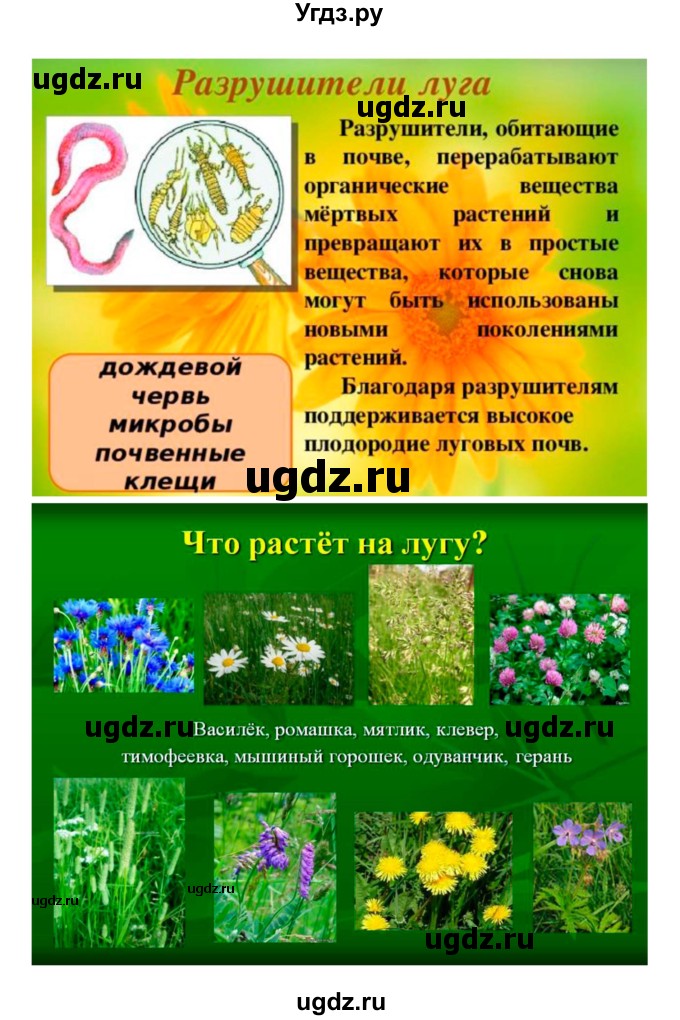 ГДЗ (Решебник 1) по биологии 7 класс Пономарева И.Н. / итог главы номер / 9(продолжение 16)