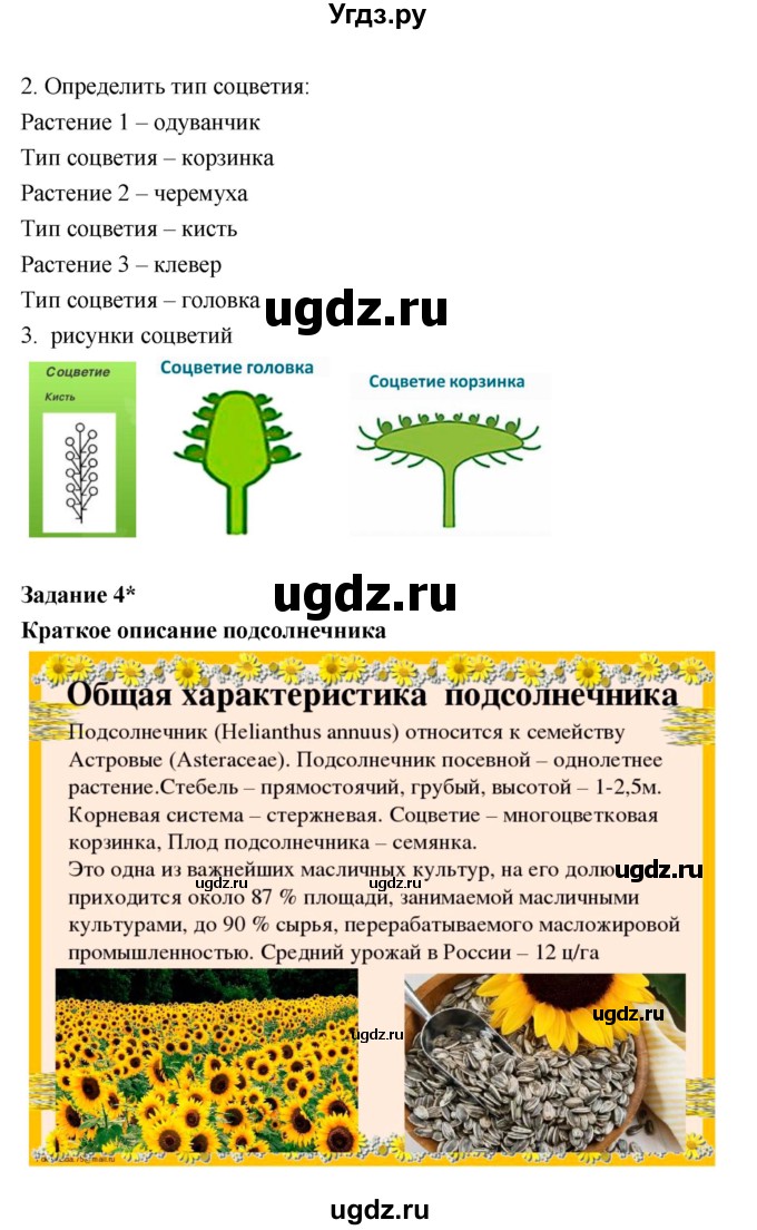 ГДЗ (Решебник) по биологии 7 класс (рабочая тетрадь) Пономарева И.Н. / параграф / 21(продолжение 4)