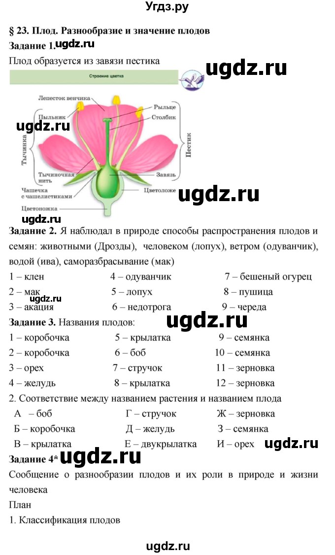 ГДЗ (Решебник) по биологии 7 класс (рабочая тетрадь) Пономарева И.Н. / параграф / 23