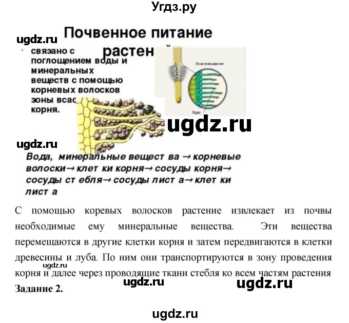 ГДЗ (Решебник) по биологии 7 класс (рабочая тетрадь) Пономарева И.Н. / параграф / 25(продолжение 2)