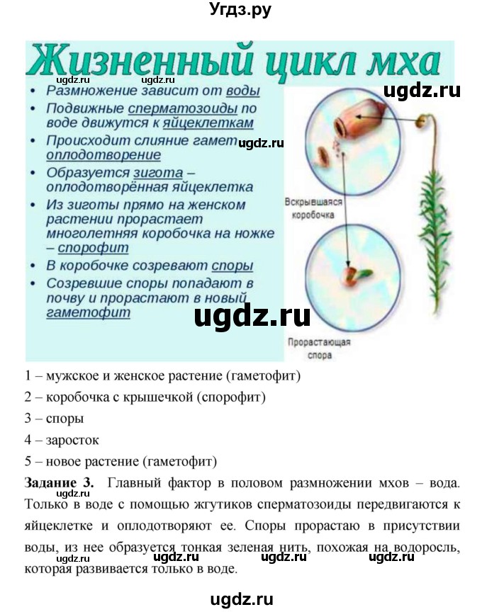 ГДЗ (Решебник) по биологии 7 класс (рабочая тетрадь) Пономарева И.Н. / параграф / 38(продолжение 2)