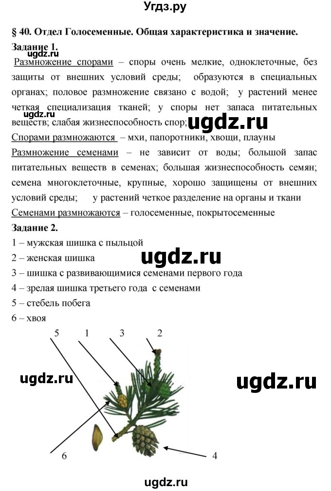 ГДЗ (Решебник) по биологии 7 класс (рабочая тетрадь) Пономарева И.Н. / параграф / 40