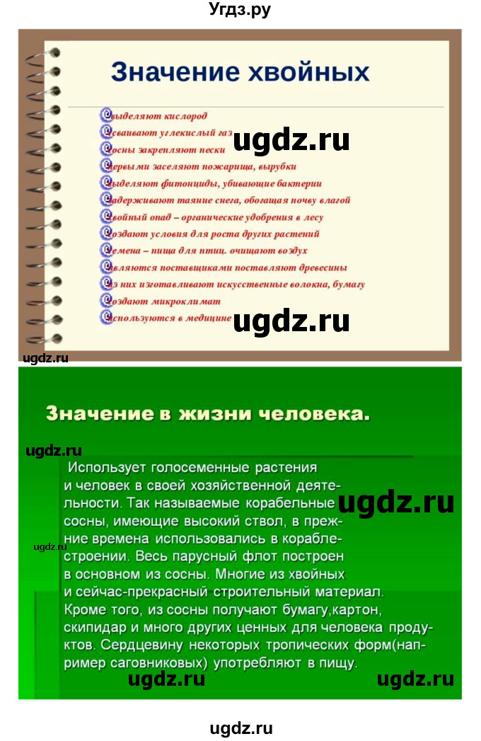 ГДЗ (Решебник) по биологии 7 класс (рабочая тетрадь) Пономарева И.Н. / параграф / 40(продолжение 6)