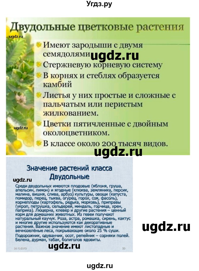 ГДЗ (Решебник) по биологии 7 класс (рабочая тетрадь) Пономарева И.Н. / параграф / 42(продолжение 5)