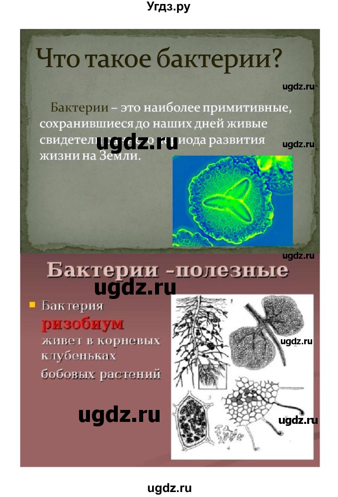 ГДЗ (Решебник) по биологии 7 класс (рабочая тетрадь) Пономарева И.Н. / параграф / 50(продолжение 6)