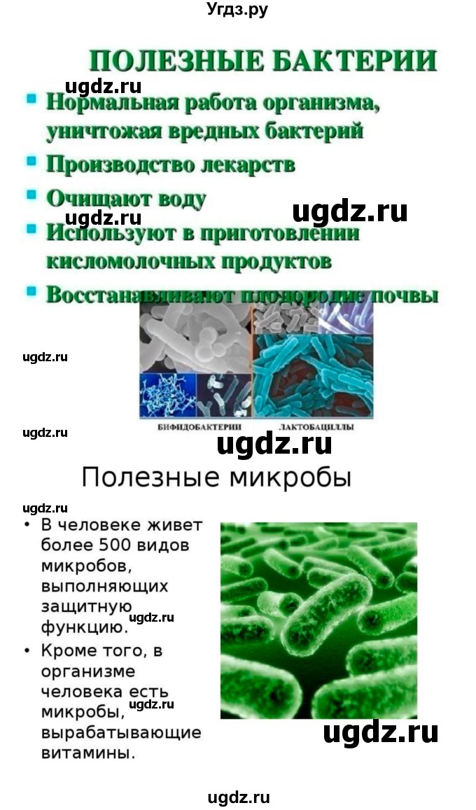 ГДЗ (Решебник) по биологии 7 класс (рабочая тетрадь) Пономарева И.Н. / параграф / 50(продолжение 7)