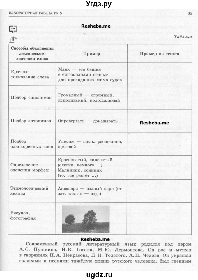 ГДЗ (Учебник) по русскому языку 5 класс (тематический контроль) Соловьева Т.В. / страница номер / 84-88(продолжение 2)
