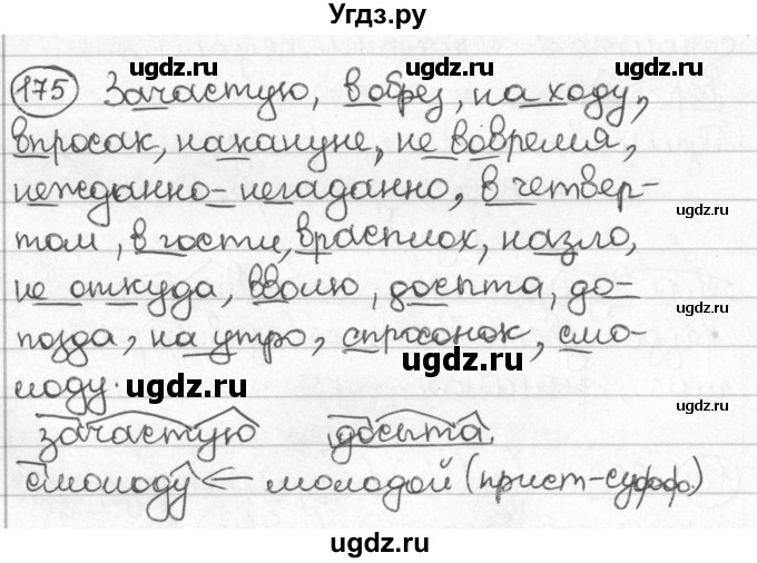 ГДЗ (Решебник) по русскому языку 8 класс Мурина Л.A. / упражнение номер / 175