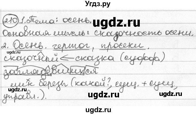 ГДЗ (Решебник) по русскому языку 8 класс Мурина Л.A. / упражнение номер / 210