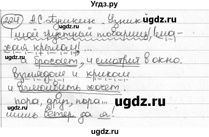 ГДЗ (Решебник) по русскому языку 8 класс Мурина Л.A. / упражнение номер / 224