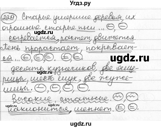 ГДЗ (Решебник) по русскому языку 8 класс Мурина Л.A. / упражнение номер / 229