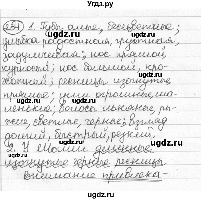 ГДЗ (Решебник) по русскому языку 8 класс Мурина Л.A. / упражнение номер / 234