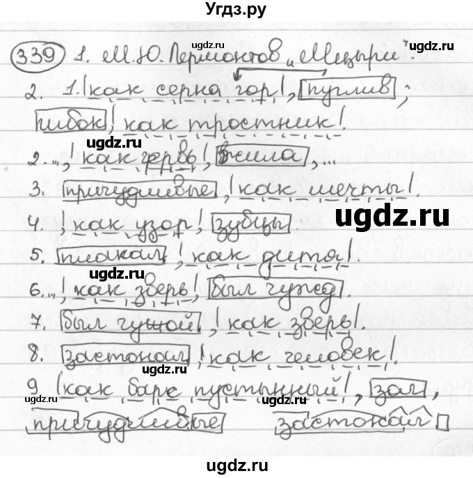 ГДЗ (Решебник) по русскому языку 8 класс Мурина Л.A. / упражнение номер / 339