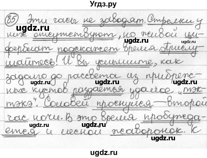 ГДЗ (Решебник) по русскому языку 8 класс Мурина Л.A. / упражнение номер / 85