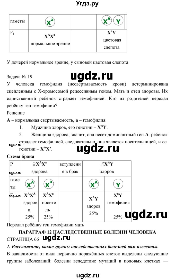 ГДЗ (Решебник к учебнику 2018) по биологии 11 класс Пономарева И.Н. / страница / 63(продолжение 3)
