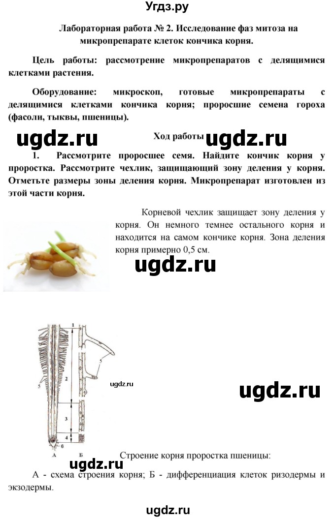 ГДЗ (Решебник к учебнику 2012) по биологии 11 класс Пономарева И.Н. / страница / 128(продолжение 3)