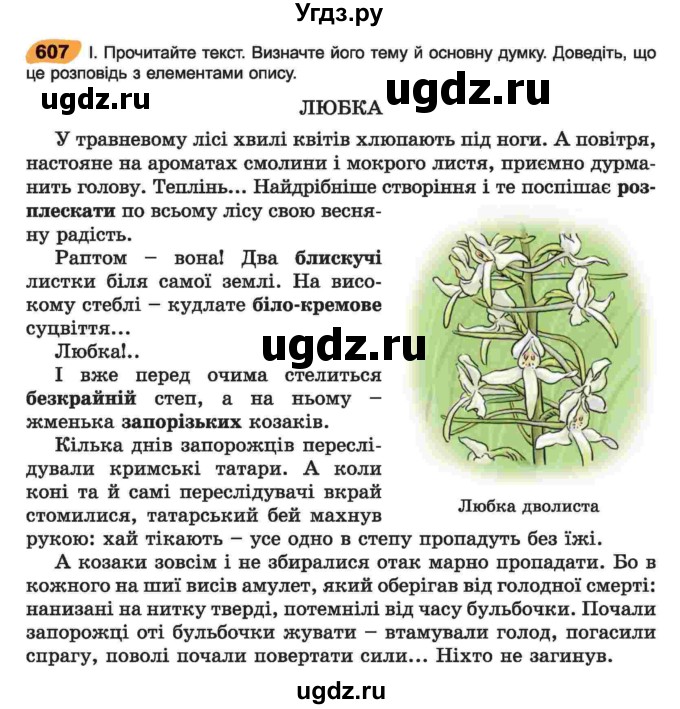 ГДЗ (Учебник) по украинскому языку 6 класс Заболотний О.В. / вправа номер / 607