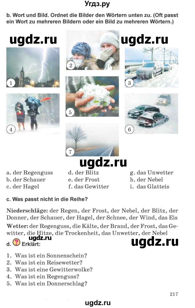 ГДЗ (Учебник) по немецкому языку 9 класс Будько А.Ф. / страница номер / 217