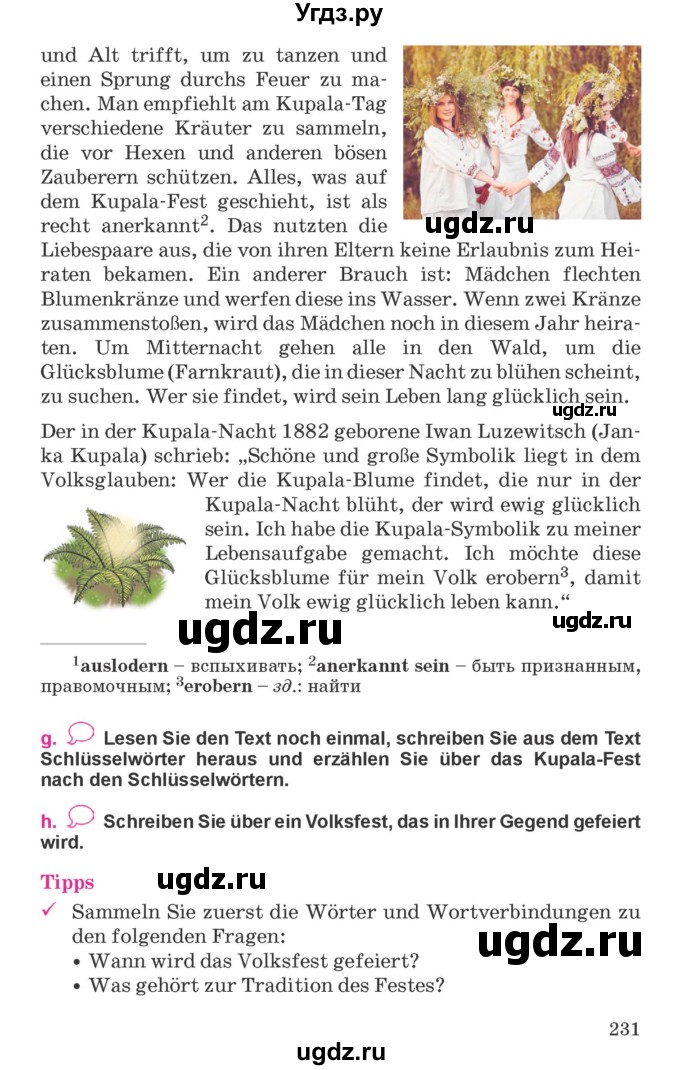 ГДЗ (Учебник) по немецкому языку 11 класс Будько А.Ф. / страница / 231